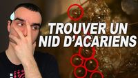 TROUVER UN NID D'ACARIENS !