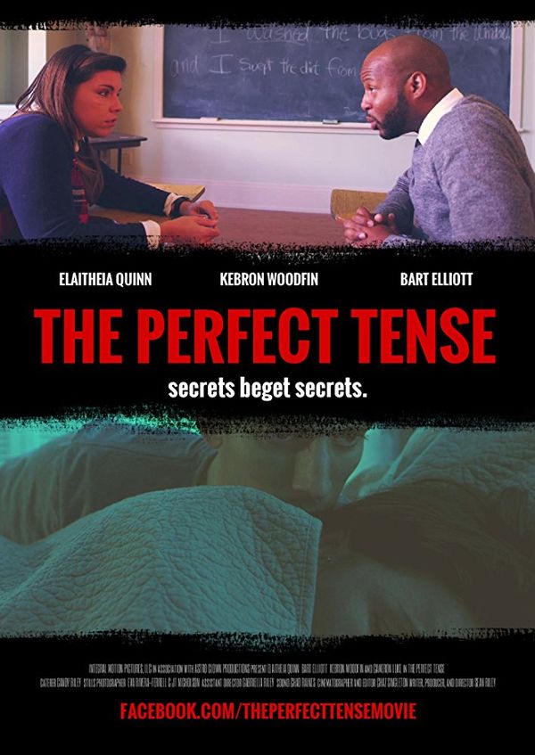 The Perfect Tense