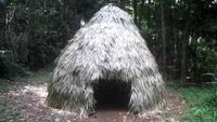 Thatched Dome Hut