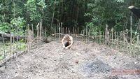 Planting Cassava and Yams