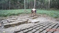 Mud Bricks