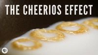 The Cheerios Effect