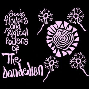 Seeds Flowers and Magical Powers of The Dandelion