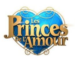 image-https://media.senscritique.com/media/000017373292/0/les_princes_de_l_amour.jpg