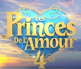 image-https://media.senscritique.com/media/000017373293/0/les_princes_de_l_amour.jpg