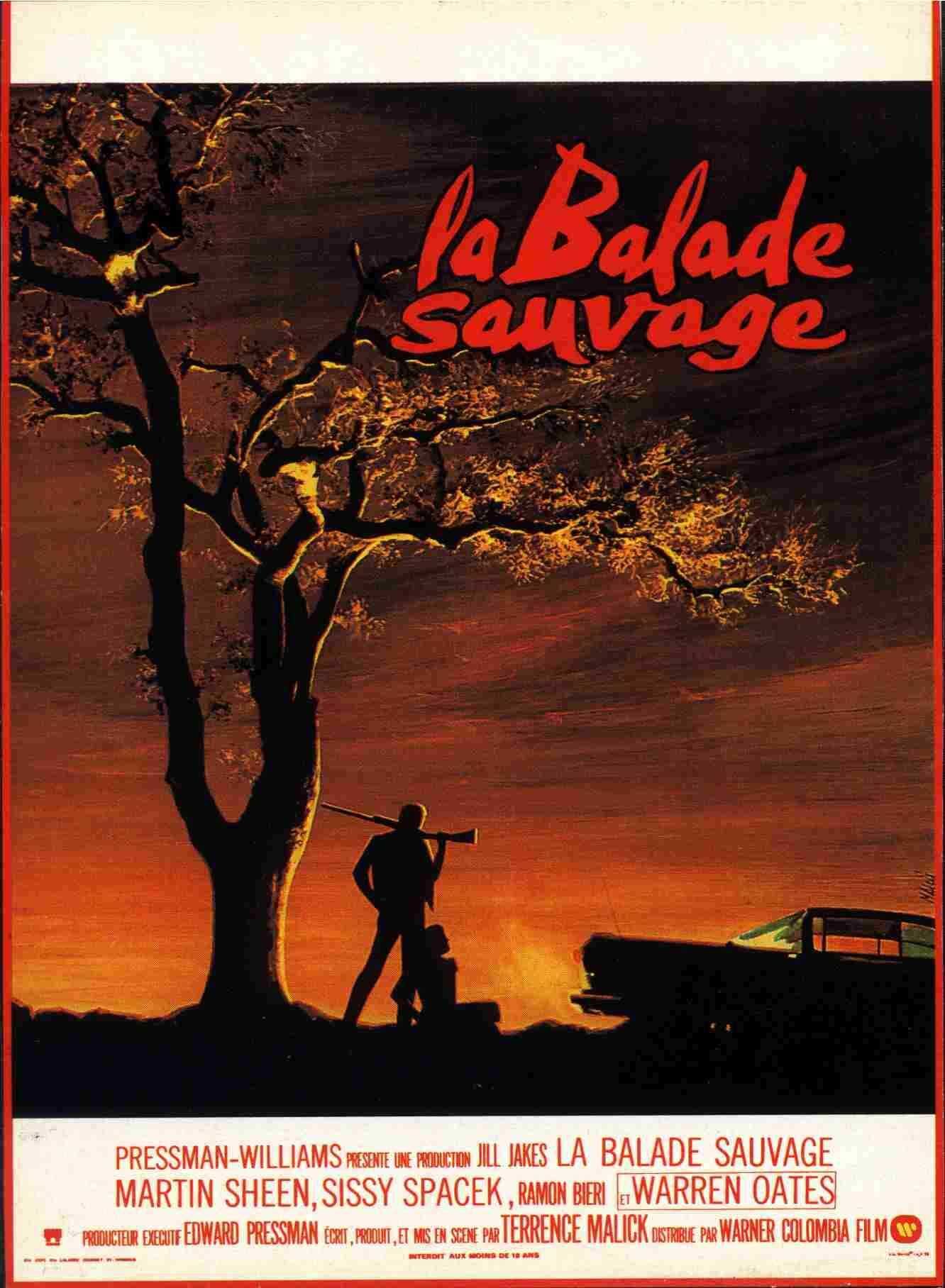 Votre dernier film visionné - Page 14 La_Balade_sauvage