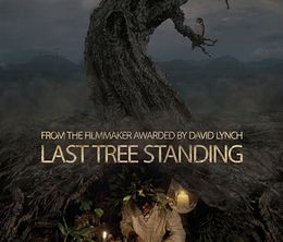 image-https://media.senscritique.com/media/000017376898/0/last_tree_standing.jpg