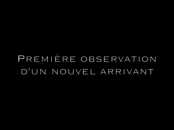 Première observation d'un nouvel arrivant