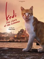 Affiche Kedi : Des Chats et des Hommes