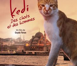 image-https://media.senscritique.com/media/000017388766/0/kedi_des_chats_et_des_hommes.jpg