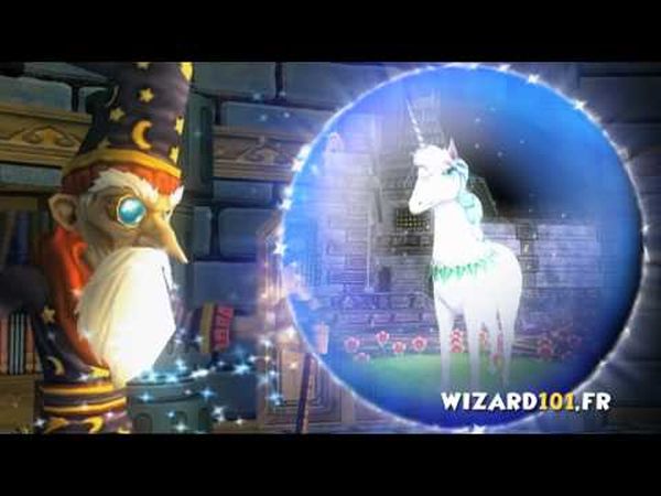 Wizard 101