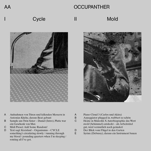 Cycle / Mold (Single)