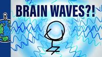 What Are Brain Waves?