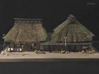 Traditional Folk Houses