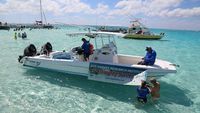 Saving Stingray City