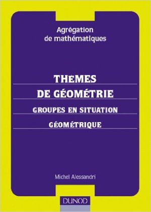 Thèmes de Géométrie : Groupes en situation Géométrique