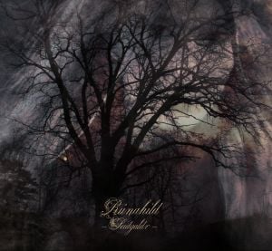 Når Ravnen Flyr i Stormen