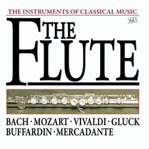 Konzert für Flöte, Streicher und Basso continue e-moll (Urfassung mit Theorbe): II. Andante