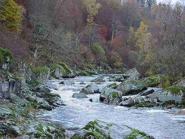 L'eau au bord de la rivière