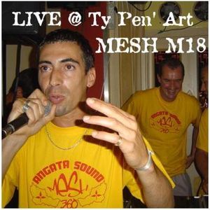 Mesh M18 "Live @ Ty Pen' Art" (2005) (Live)