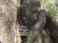 The Hidden Immunity Idol