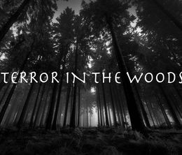 image-https://media.senscritique.com/media/000017406783/0/terror_in_the_woods.jpg