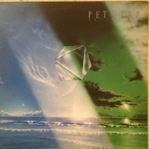 Pet Step
