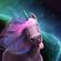 Avatar Licorne Flirteuse Avatar Licorne Flirteuse