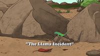 The Llama Incident
