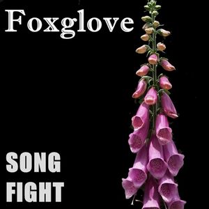 Foxglove