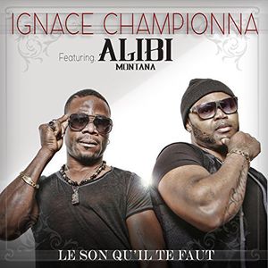 Le Son Qu'Il Te Faut (Single)