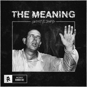 The Meaning (Single)