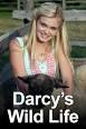 Darcy