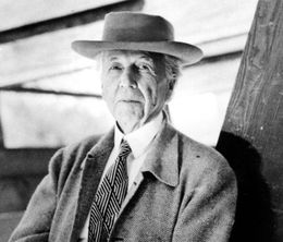 image-https://media.senscritique.com/media/000017428850/0/frank_lloyd_wright.jpg