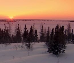 image-https://media.senscritique.com/media/000017433539/0/Arctic_Exposure_With_Nigel_Marven.jpg