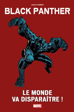 Black Panther : Le monde va disparaître