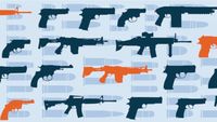 What Should We Do About Guns