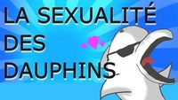 La sexualité des dauphins !