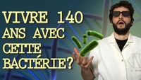 CETTE BACTÉRIE PEUT VOUS FAIRE VIVRE 140 ANS ? Vrai ou Faux #12