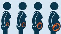 The Most Important Question About Abortion