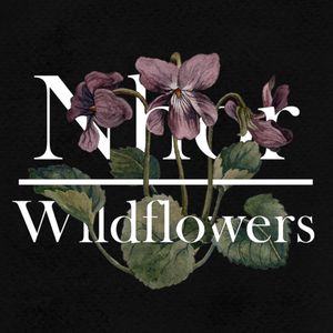 Wildflowers: Winter (EP)