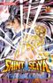 Saint Seiya : The Lost Canvas, tome 14
