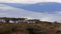 Tanzanie, du Kilimandjaro à Zanzibar