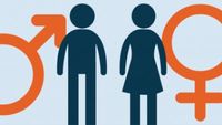 Gender Identity