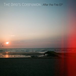 After the Fire (EP)