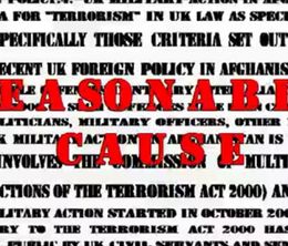 image-https://media.senscritique.com/media/000017459045/0/reasonable_case.jpg