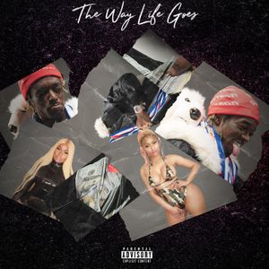 The Way Life Goes (remix)