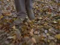 L'Automne