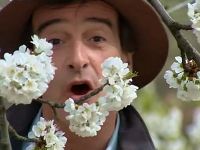 C'est le Printemps