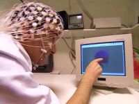 Le cerveau 2: J'ai la mémoire qui flanche